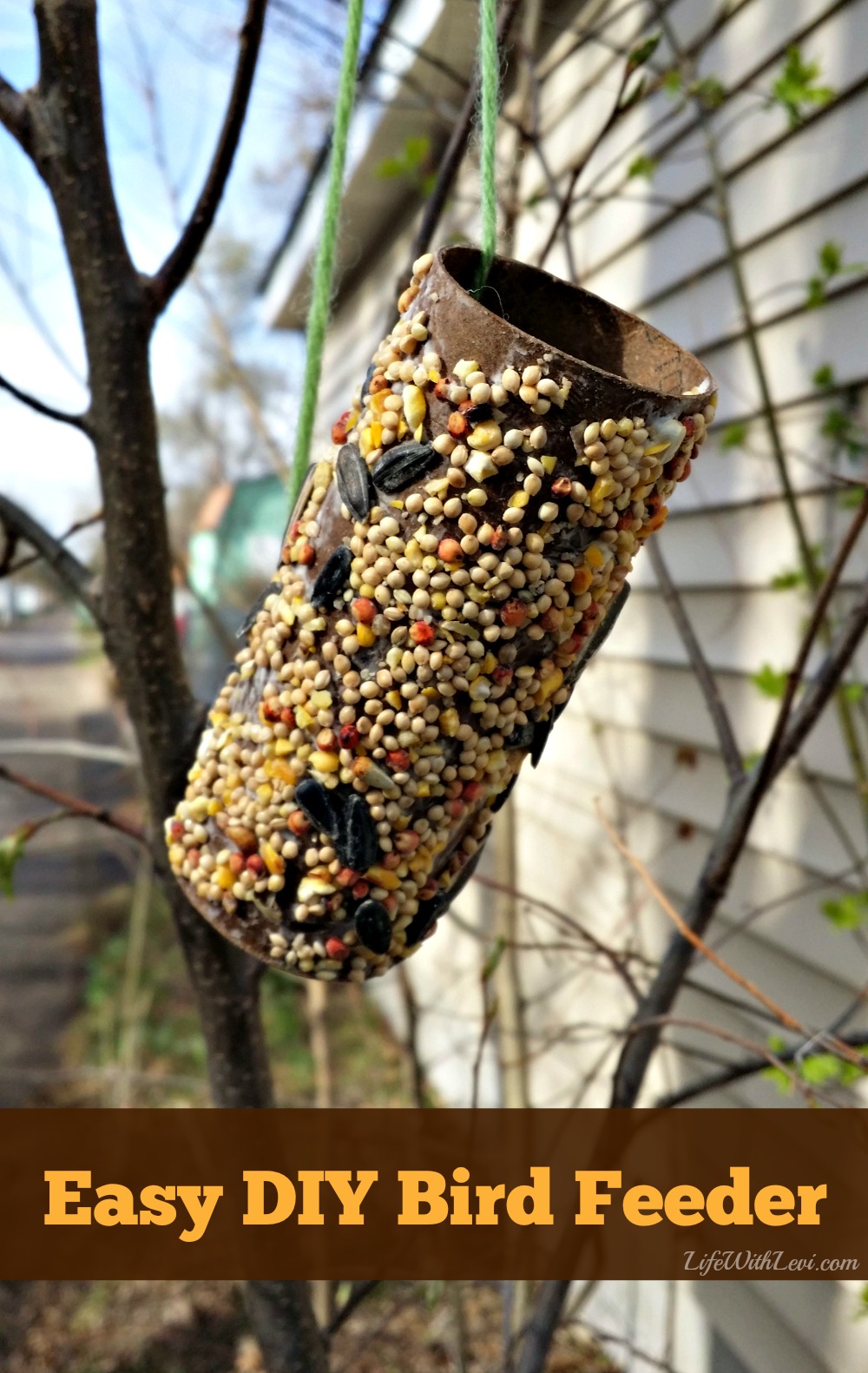 Preschool Activity Make A Bird Feeder From A Toilet Paper Roll